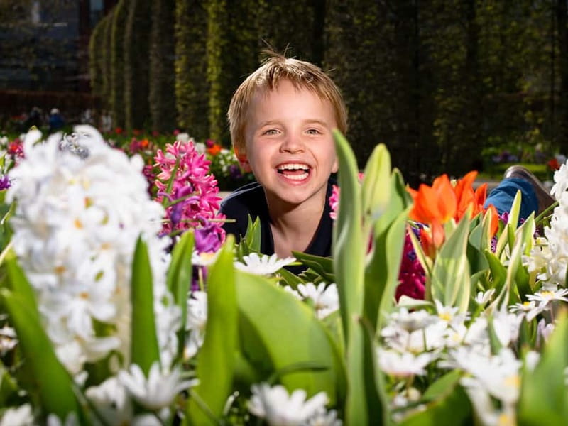 Amsterdam: Keukenhof Entry & Shuttlebus with Flexible Return - Should you book this Keukenhof Entry and Shuttlebus with Flexible Return?