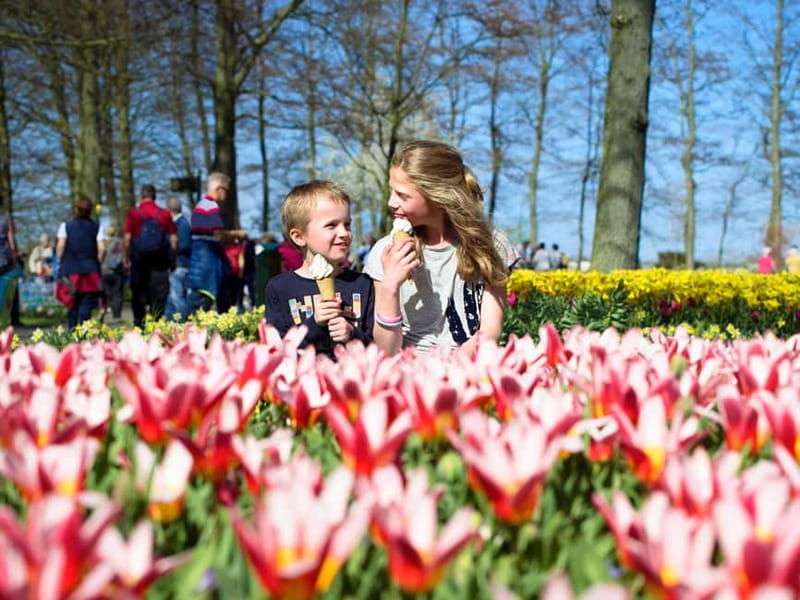 Amsterdam: Keukenhof Entry & Shuttlebus with Flexible Return - From This Is Holland To Keukenhof: How the Shuttle Really Feels