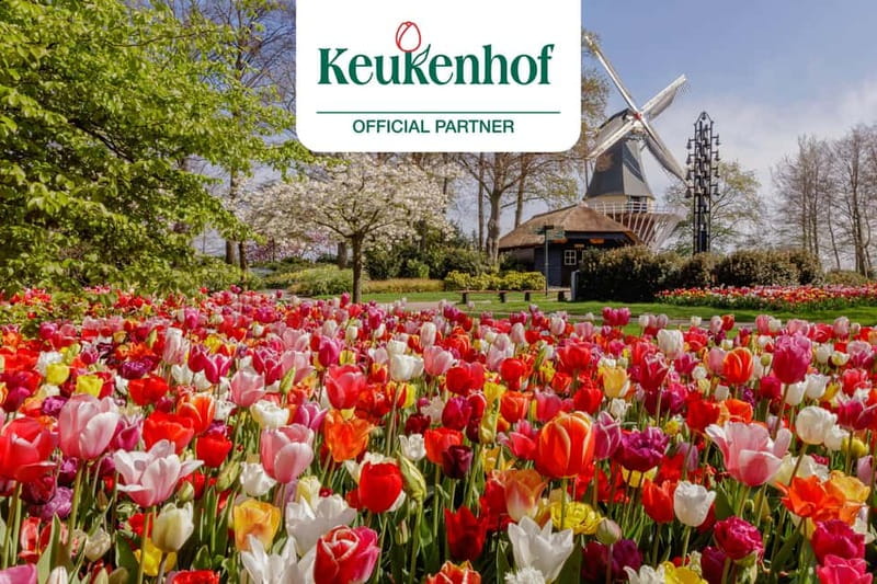 Amsterdam: Keukenhof Entry & Shuttlebus with Flexible Return - The coach experience: comfort, seat guarantees, and frequency