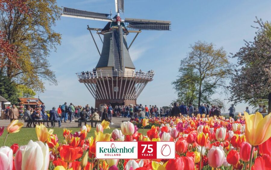 Amsterdam: Keukenhof Entry & Shuttlebus with Flexible Return - Exploring Keukenhof on your own: maps, photo spots, and what to aim for