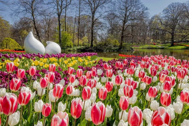 Amsterdam: Keukenhof Entry & Shuttlebus with Flexible Return - Season and crowds: when the flowers look their best