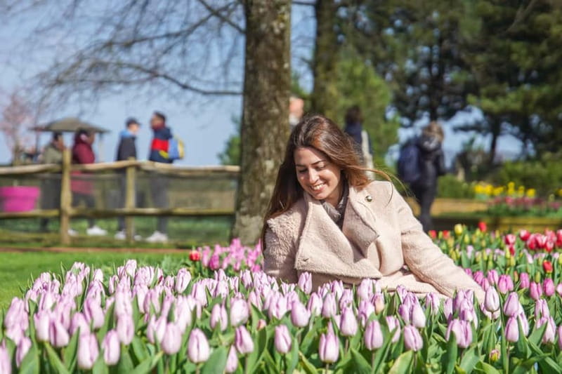 Amsterdam: Keukenhof Entry & Shuttlebus with Flexible Return - Logistics that save you headaches: returns, boarding, and line control
