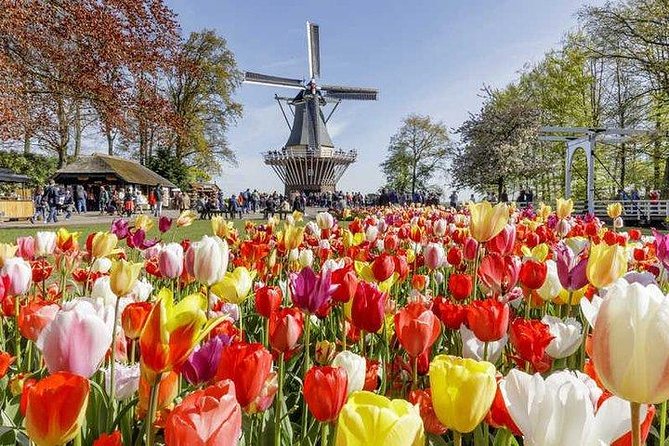 Amsterdam : Keukenhof FlowerFarm Privatetour Skip-The-Line ticket - Why Private Keukenhof Feels Worth It (Skip-The-Line Plus Pickup)