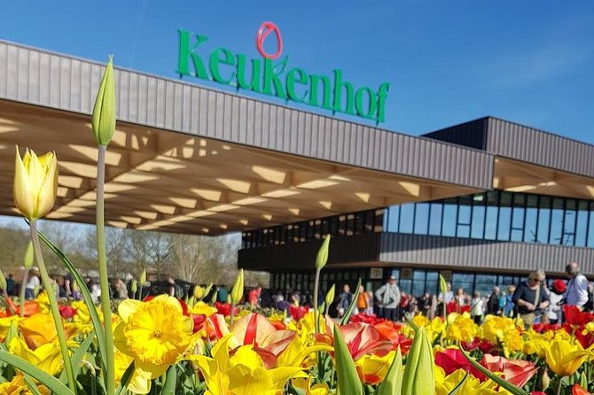 Amsterdam : Keukenhof FlowerFarm Privatetour Skip-The-Line ticket - De Tulperij Tulip Farm: Show Gardens and Picking Your Own Tulips