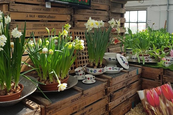 Amsterdam : Keukenhof FlowerFarm Privatetour Skip-The-Line ticket - Noordwijk Beach as an Optional Extension (If Time Allows)