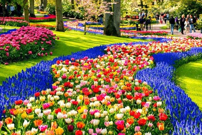 Amsterdam : Keukenhof FlowerFarm Privatetour Skip-The-Line ticket - Price and Value: What You’re Really Paying For