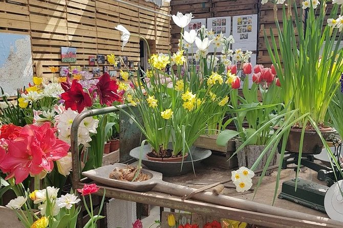 Amsterdam : Keukenhof FlowerFarm Privatetour Skip-The-Line ticket - Practical Tips So Your Flower Day Stays Pleasant