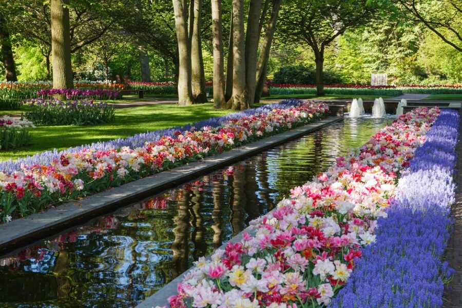 Amsterdam: Keukenhof Gardens Guided Tour Spanish and English - Your 3.5 Hours in Keukenhof: How to Walk the Park Smart
