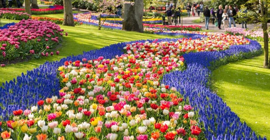 Amsterdam: Keukenhof Gardens Guided Tour Spanish and English - Buying Bulbs and Seeds: What You Can Take Home