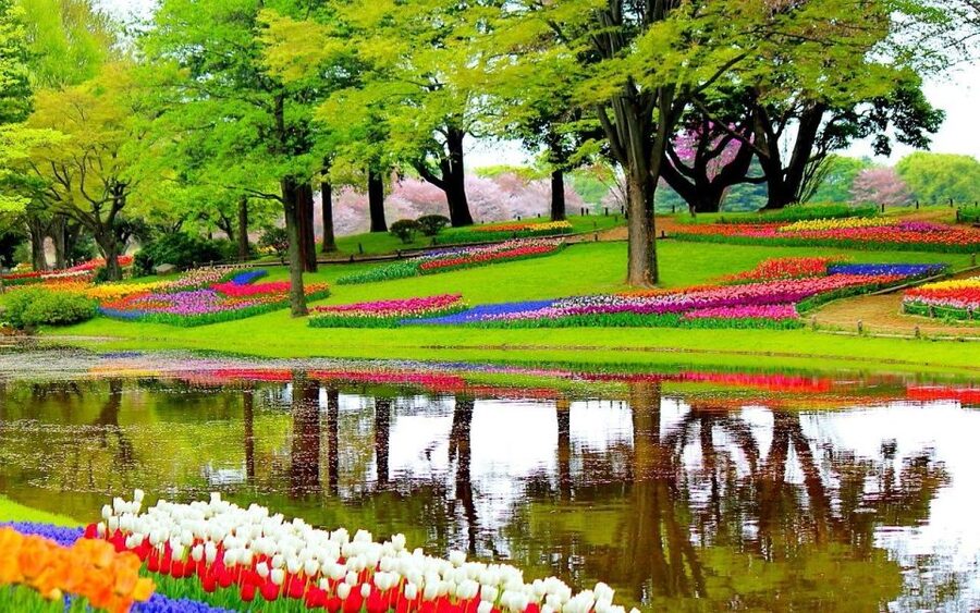 Amsterdam: Keukenhof Gardens Private Sightseeing Tour - Skip the Ticket Line, Then Explore on Your Own