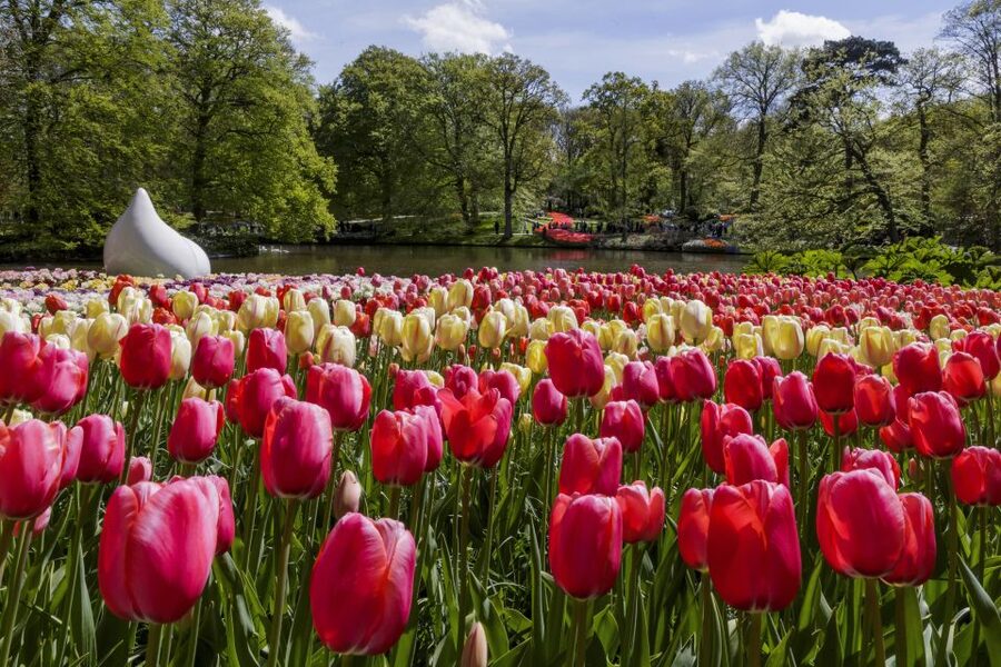 Amsterdam: Keukenhof Ticket with Shuttle Bus + Canal Cruise - Keukenhof entry: what “skip-the-line” really buys you