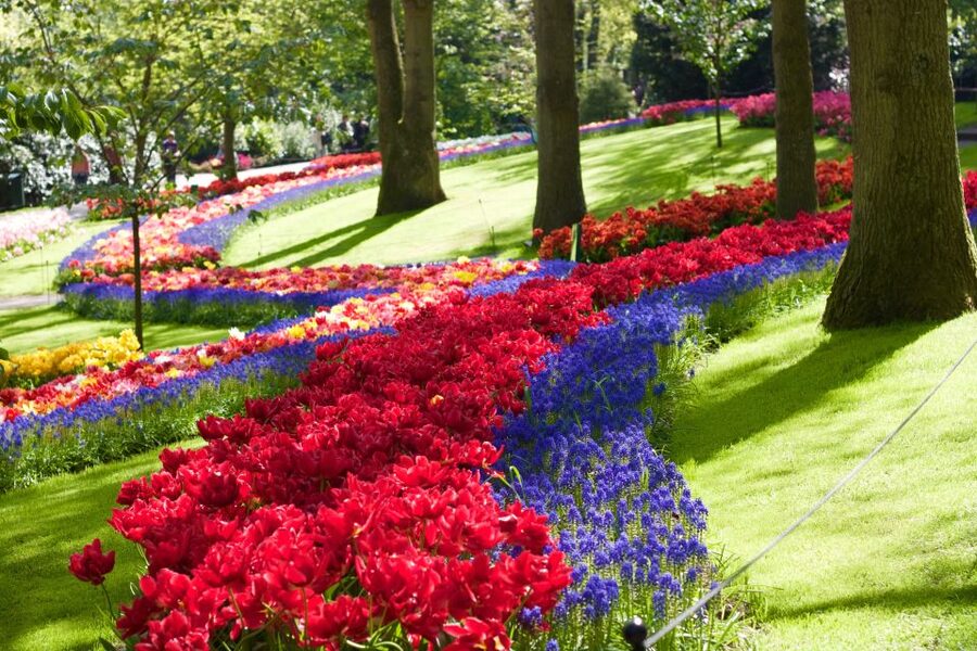 Amsterdam: Keukenhof Ticket with Shuttle Bus + Canal Cruise - Getting the timing right inside the gardens