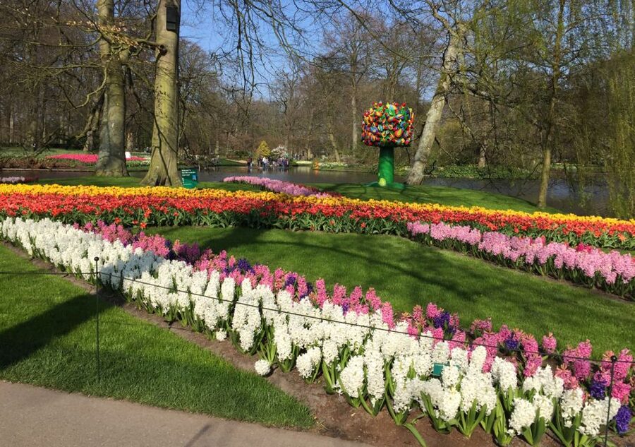 Amsterdam: Keukenhof Tulip Garden and Giethoorn Experience - Key things to know before you go