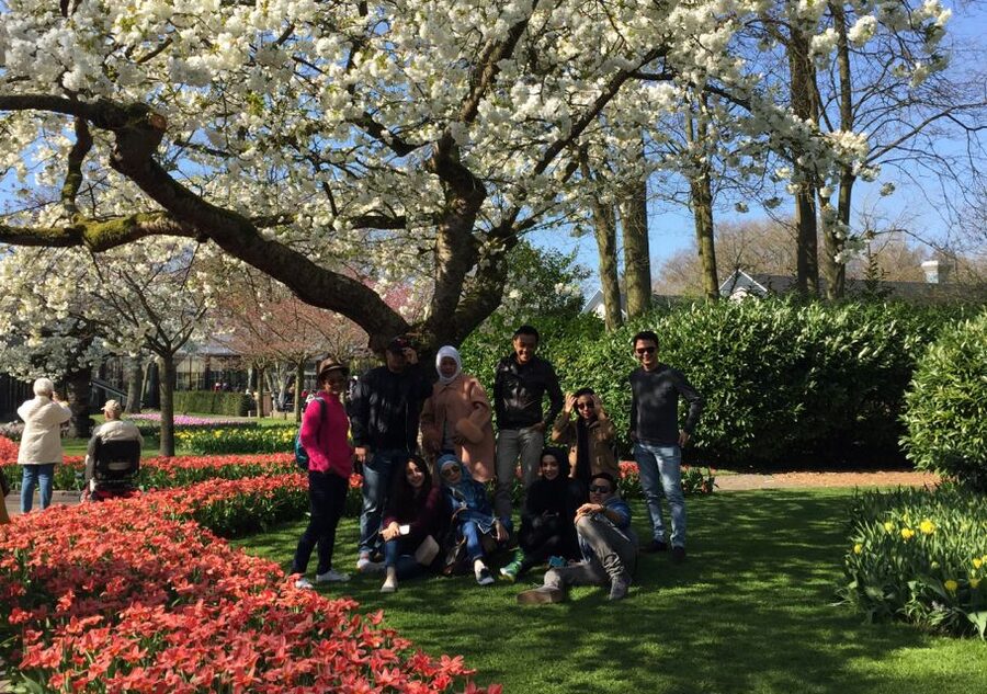 Amsterdam: Keukenhof Tulip Garden and Giethoorn Experience - Giethoorn on foot: bridges, footpaths, and farmhouse island living