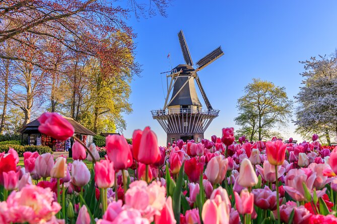 Amsterdam: Keukenhof, Zaanse Schans & Volendam Tour - Key highlights worth getting excited about