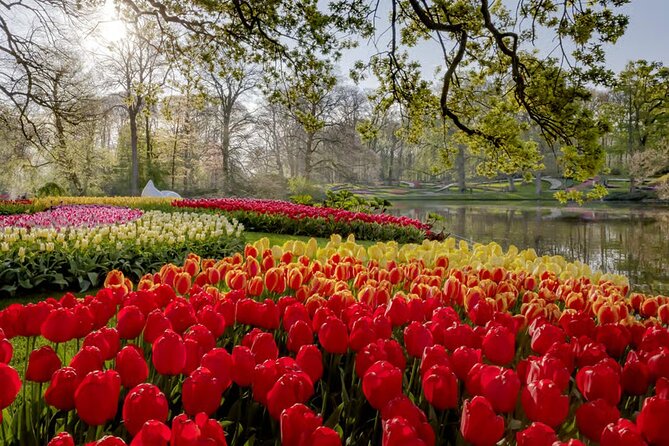 Amsterdam: Keukenhof, Zaanse Schans & Volendam Tour - Keukenhof Gardens: fast-track entry and a self-paced bloom chase