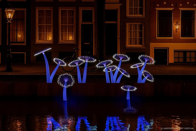 Amsterdam: Light Festival Boat with Unlimited Drinks & Snack - When to Go, What to Wear, and How to Stay Comfortable