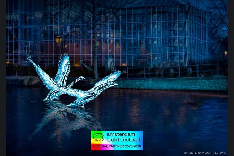 Amsterdam: Light Festival Cruise + Stroopwafel & Hot Choco - Amsterdam at night, minus the cold