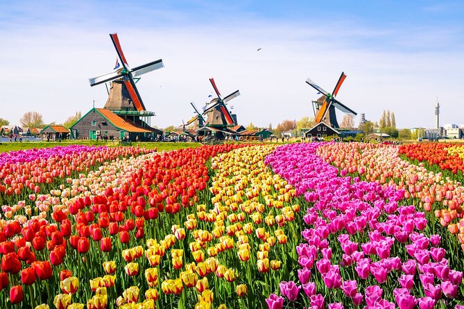 Amsterdam Pass: 45+ Things To Do - Includes Rijksmuseum - Rijksmuseum, Moco, and the art stops that justify museum time