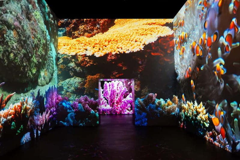 Amsterdam: Prehistoric Planet Immersive Experience Ticket - Fabrique des Lumières in Amsterdam: the setting and why the ticket feels fair