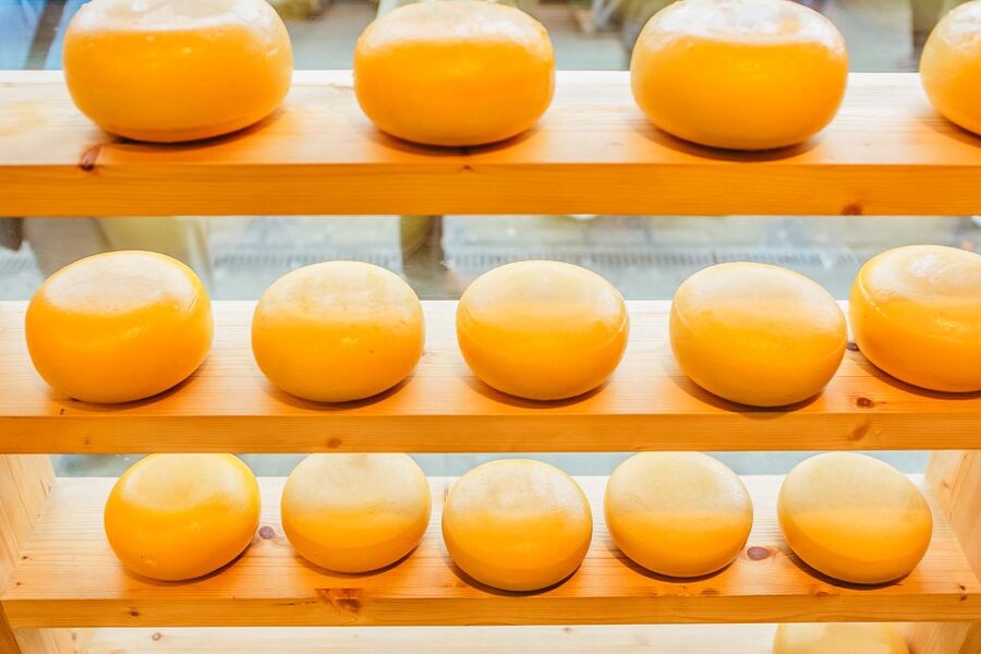 Amsterdam: Premium Henri Willig Cheese Tasting Experience - Timing, meeting point, and avoiding small annoyances