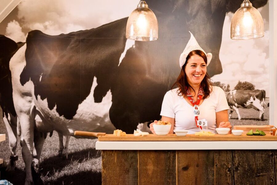 Amsterdam: Premium Henri Willig Cheese Tasting Experience - Walking in, meeting the host, and getting your bearings