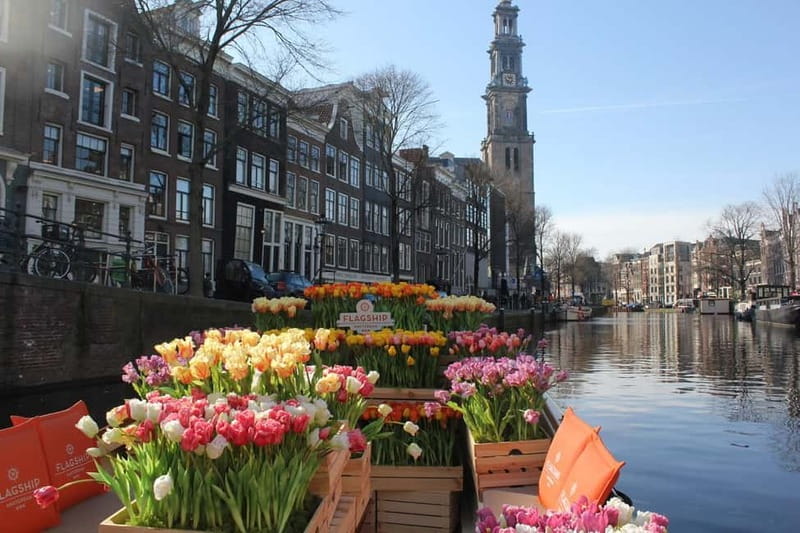 Amsterdam: Premium Tulip Boat Canal Tour - Inside the Boat: Small Group Comfort, Flowers Everywhere, and the Onboard Bar