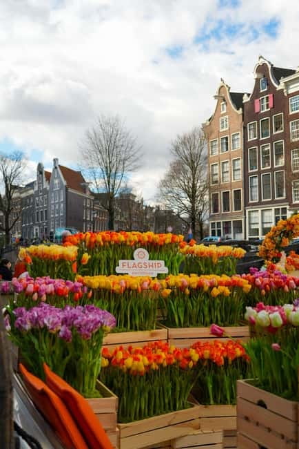 Amsterdam: Premium Tulip Boat Canal Tour - Who This Tour Fits Best, and Who Might Skip It