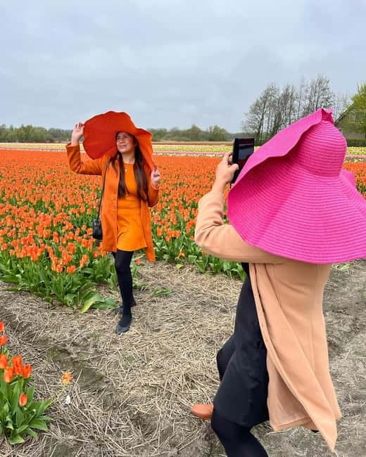 Amsterdam: Private Keukenhof and Free Tulip Tour - A day plan built for calm, not crowds