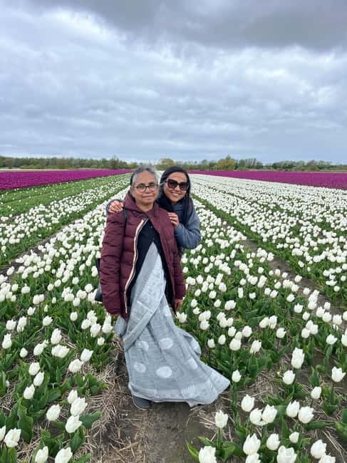 Amsterdam: Private Keukenhof and Free Tulip Tour - Who this tour is best for (and who might skip it)