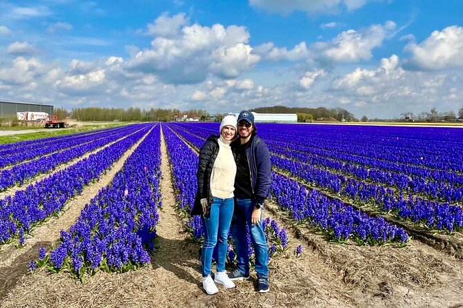 Amsterdam Private Tour to Keukenhof, Tulip Fields and Windmills - Why this private route feels smarter than piecing it together