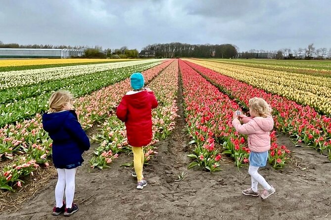 Amsterdam Private Tour to Keukenhof, Tulip Fields and Windmills - Keukenhof planning: tickets, timing, and how to use your 2 hours