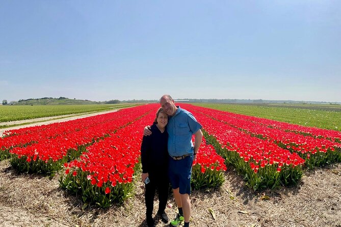 Amsterdam Private Tour to Keukenhof, Tulip Fields and Windmills - Price and value: what you are really paying for