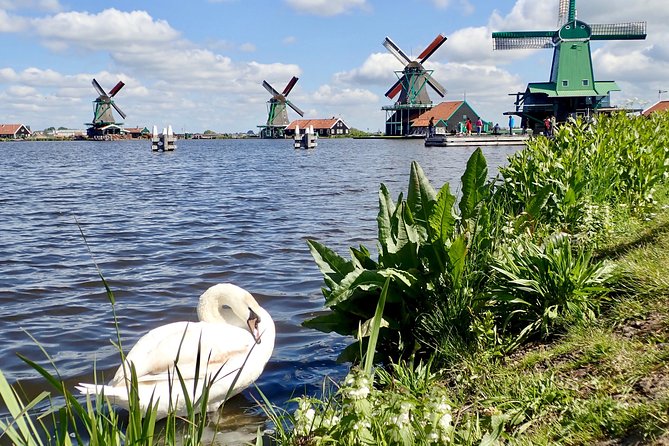 Amsterdam private tour to windmills, cheese farm and villages - Edam: a dike-side cheese town with a seafood wink