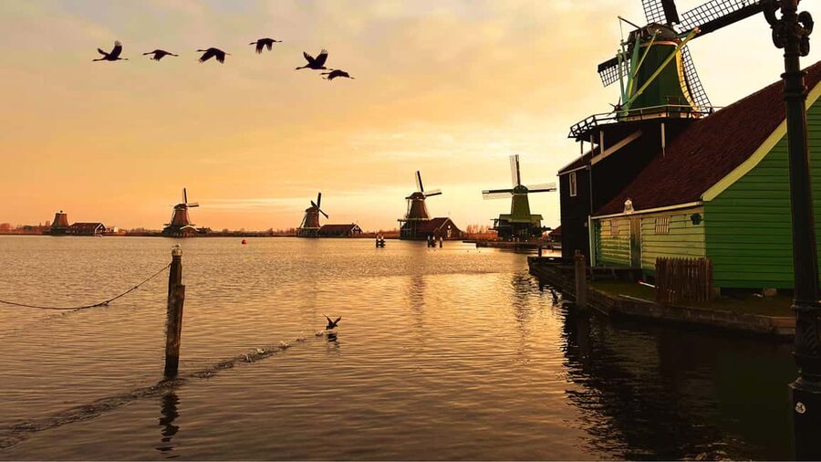 Amsterdam : Private Tour Zaanse Schans - Key highlights at a glance