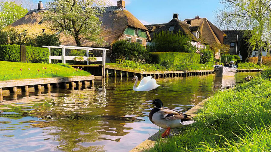 Amsterdam : Private Tour Zaanse Schans - Price and value: $84 per person for a private, door-to-door day