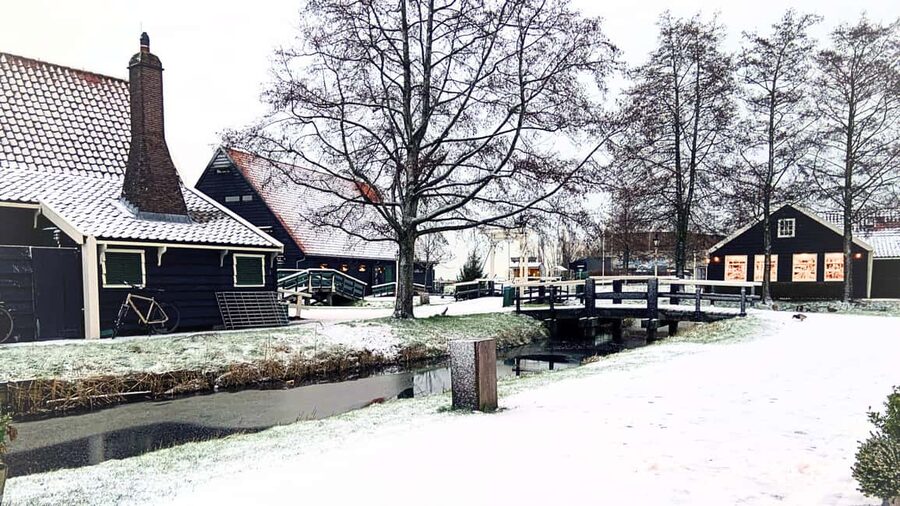 Amsterdam : Private Tour Zaanse Schans - Cheese tasting on-site: Gouda, Edam, and how technique matters