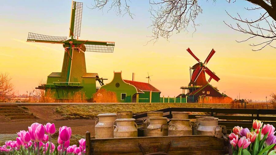 Amsterdam : Private Tour Zaanse Schans - Hotel pickup to Zaanse Schans, without the usual hassle