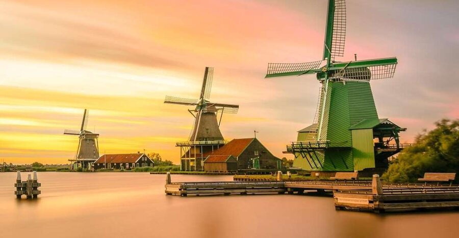 Amsterdam: Private Zaanse Schans Windmills and Volendam Trip - Henri Willig Kaas BV: baby cows and free cheese tasting that actually helps you choose