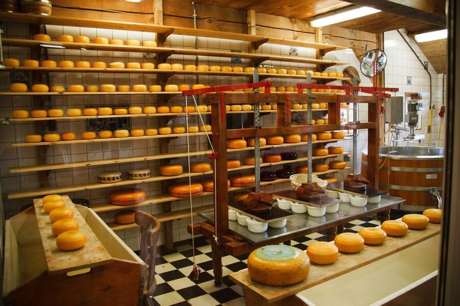 Amsterdam: Private Zaanse Schans Windmills and Volendam Trip - Price and value for a private 5-hour Amsterdam day