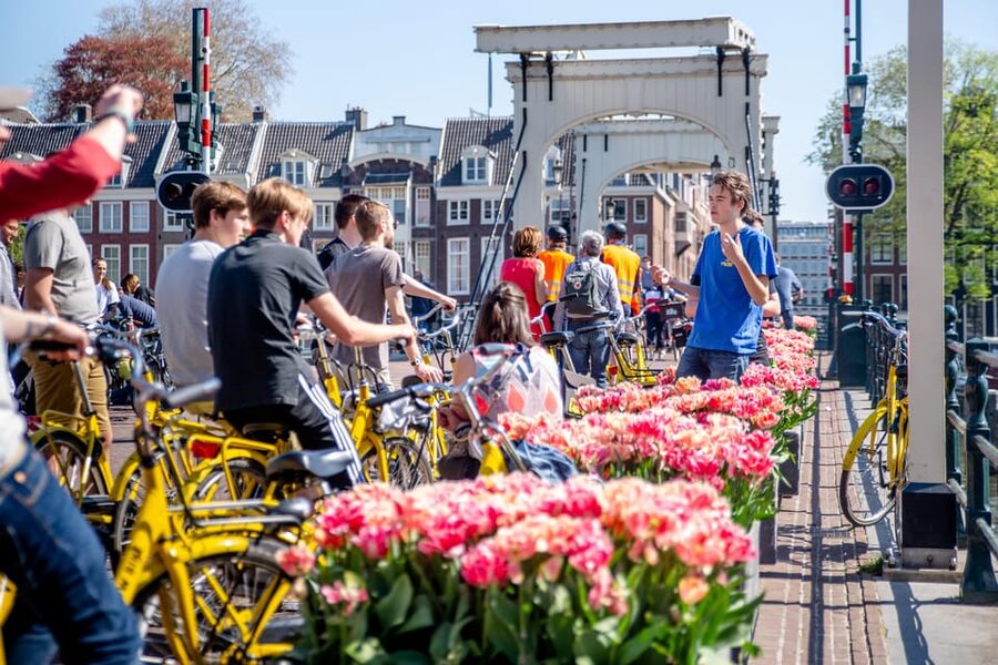 Amsterdam: Relaxed City Highlights Guided Bike Tour - Magere Brug (Skinny Love Bridge): The Photo Moment With a Real Ending
