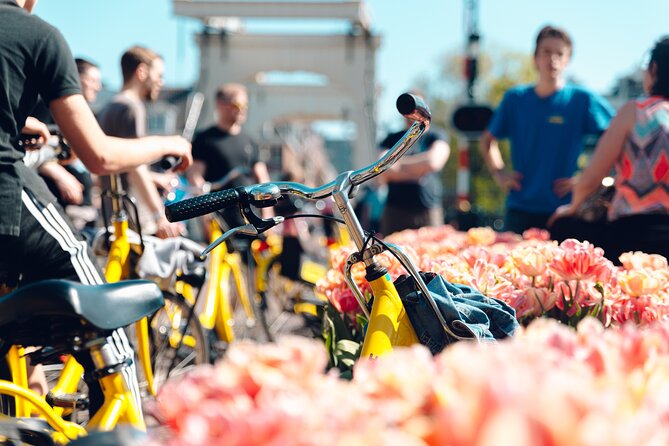 Amsterdam Small Group Bike Tour - Key highlights at a glance