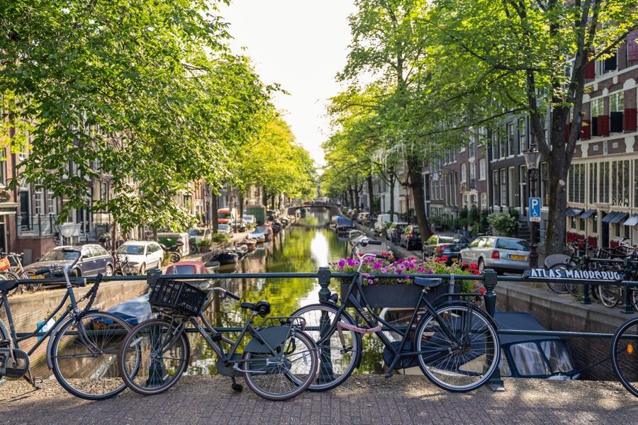 Amsterdam Small-Group Walking Tour - Why this 2.5-hour Amsterdam walk is a smart first-day move