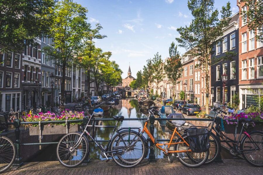 Amsterdam Small-Group Walking Tour - Who this tour suits best, and what to expect on your feet