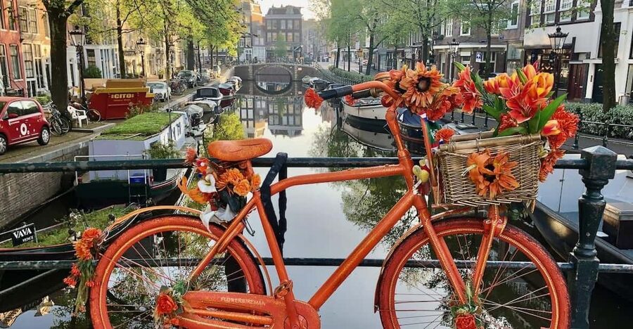 Amsterdam: Small Group Walking Tour with Fun Guide - Meeting Point at Dam Square, National Monument, and a Red Umbrella