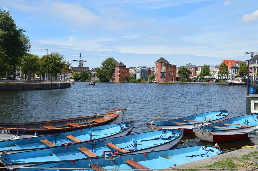 Amsterdam to Haarlem: Private Day-Trip Experience - Off-the-Main-Street Walking, Cafes, and Shopping Lanes