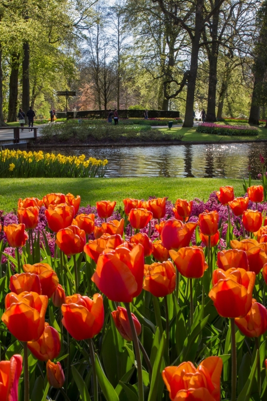 Amsterdam: Tour to Keukenhof Gardens with Windmill Cruise - Key reasons this trip works so well