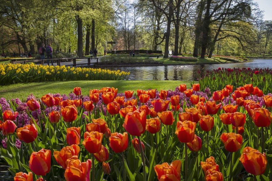 Amsterdam: Tour to Keukenhof Gardens with Windmill Cruise - Keukenhof Gardens: how to use the time you get