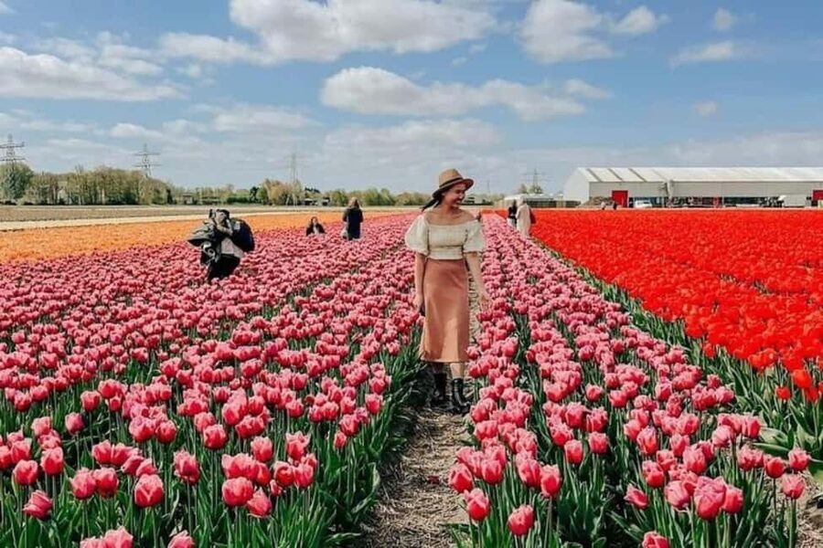 Amsterdam: Tulip Farm Visit, Keukenhof, and Windmill Cruise - Key things to know before you go