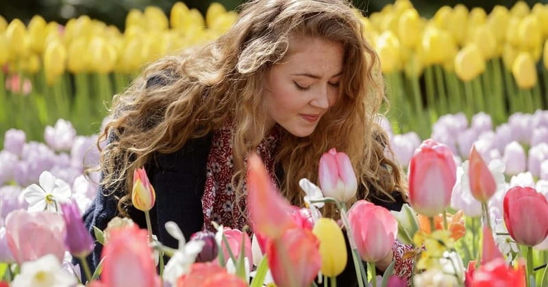 Amsterdam: Tulip Farm Visit, Keukenhof, and Windmill Cruise - Getting to the day’s action, from This is Holland